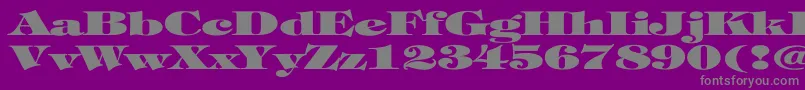 TiffanyHeavyNormalEx-Schriftart – Graue Schriften auf violettem Hintergrund