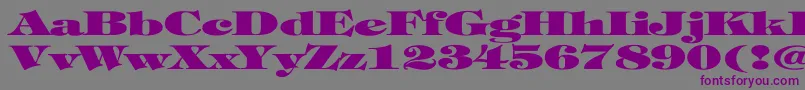 TiffanyHeavyNormalEx Font – Purple Fonts on Gray Background