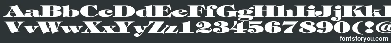 TiffanyHeavyNormalEx Font – White Fonts on Black Background