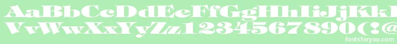 TiffanyHeavyNormalEx-Schriftart – Weiße Schriften auf grünem Hintergrund