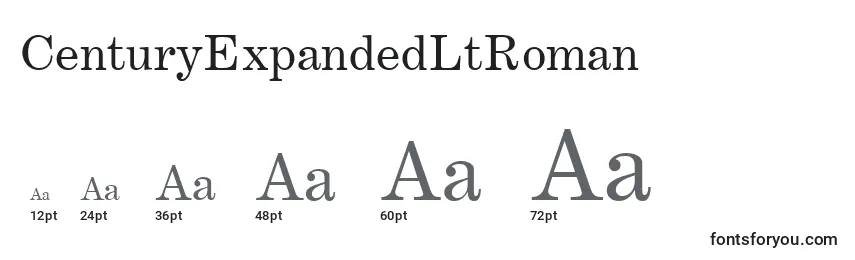 CenturyExpandedLtRoman Font Sizes