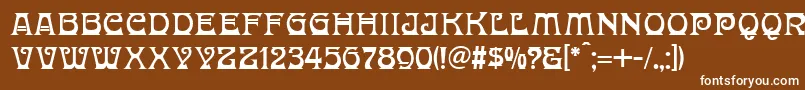 フォントDonaldinaNormal – 茶色の背景に白い文字