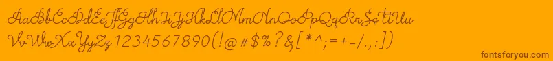 TheodistaDecallyItalic Font – Brown Fonts on Orange Background