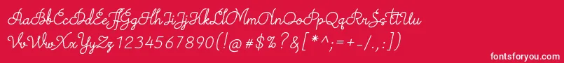 TheodistaDecallyItalic Font – White Fonts on Red Background