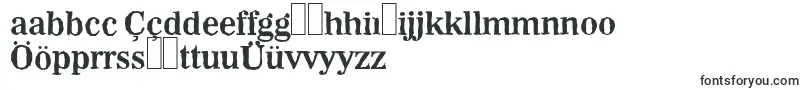 WichitaantiqueBold Font – Turkish Fonts