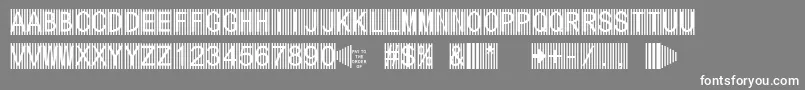 Secure5a Font – White Fonts on Gray Background