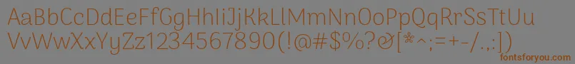 ArimakoshiExtraligth Font – Brown Fonts on Gray Background