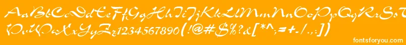 SloganRegular-Schriftart – Weiße Schriften auf orangefarbenem Hintergrund