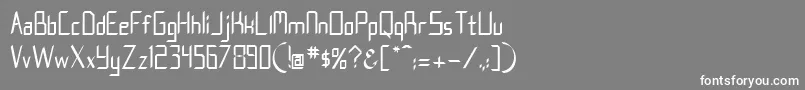 フォントNostra2003J – 灰色の背景に白い文字