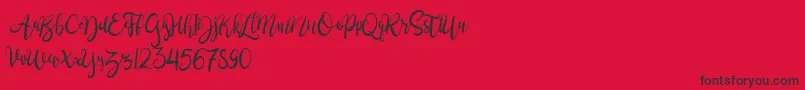 BrushgyoPersonalUse Font – Black Fonts on Red Background