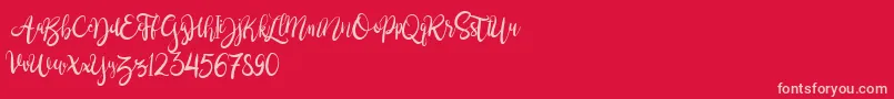 BrushgyoPersonalUse Font – Pink Fonts on Red Background