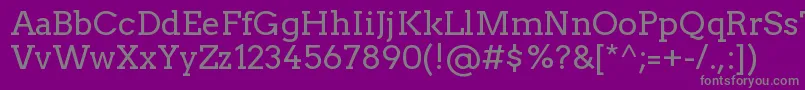 TwentytwelveslabRegular Font – Gray Fonts on Purple Background