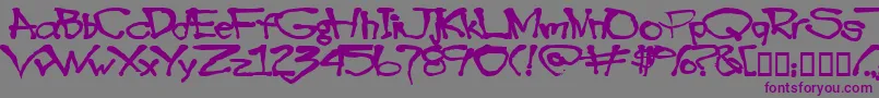 フォントBlotto40 – 紫色のフォント、灰色の背景