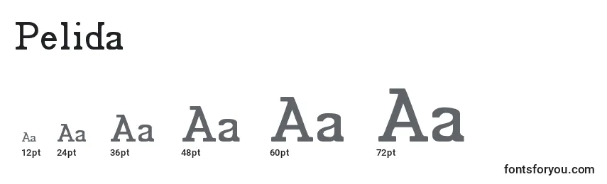 Pelida Font Sizes