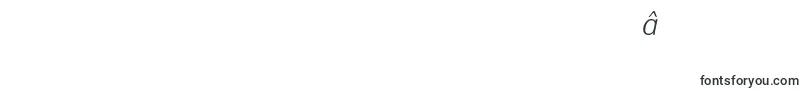 DynagrotesklItalic Font – Hebrew Fonts