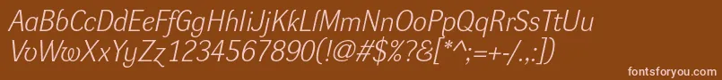 DynagrotesklItalic Font – Pink Fonts on Brown Background
