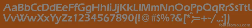 E820SansDemiRegular Font – Gray Fonts on Brown Background