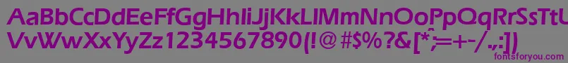 E820SansDemiRegular Font – Purple Fonts on Gray Background
