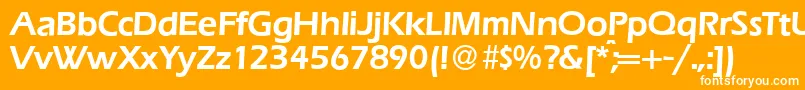 フォントE820SansDemiRegular – オレンジの背景に白い文字