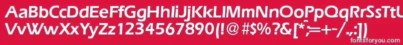 E820SansDemiRegular Font – White Fonts on Red Background
