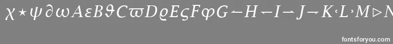フォントLucidaBrightMathItalicRegular – 灰色の背景に白い文字