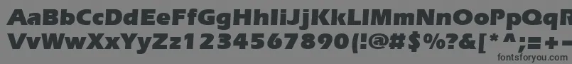 Evrsu Font – Black Fonts on Gray Background