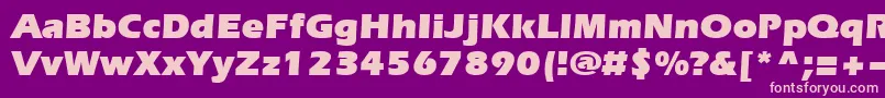 fuente Evrsu – Fuentes Rosadas Sobre Fondo Morado