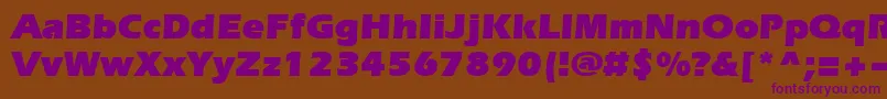 Evrsu Font – Purple Fonts on Brown Background