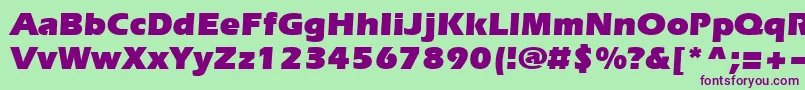 Evrsu Font – Purple Fonts on Green Background