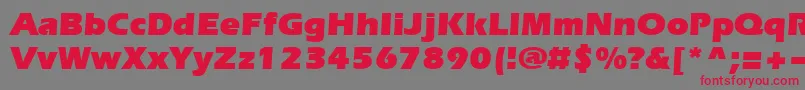 Evrsu Font – Red Fonts on Gray Background