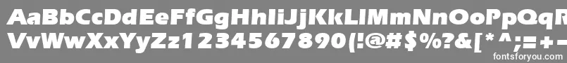 Evrsu-fontti – valkoiset fontit harmaalla taustalla