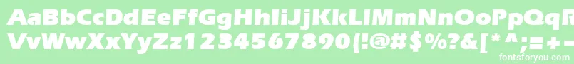 Шрифт Evrsu – белые шрифты на зелёном фоне