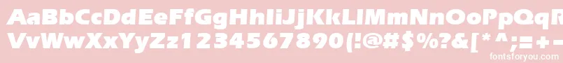Evrsu Font – White Fonts on Pink Background