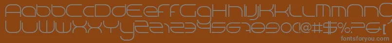 Bnniv5000 Font – Gray Fonts on Brown Background