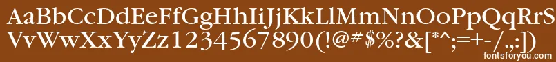 Garamondbookett-Schriftart – Weiße Schriften auf braunem Hintergrund