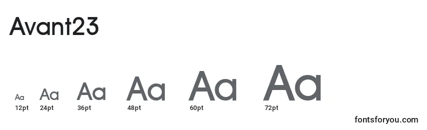 Avant23 Font Sizes