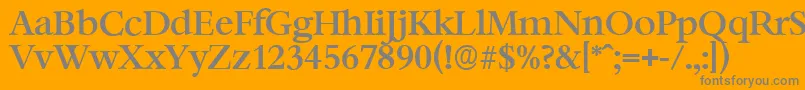 BernsteinserialMediumRegular Font – Gray Fonts on Orange Background