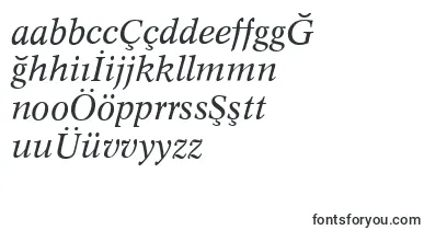 ConceptItalic font – turkish Fonts