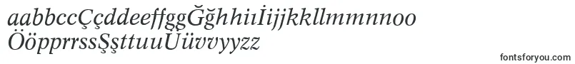ConceptItalic Font – Turkish Fonts