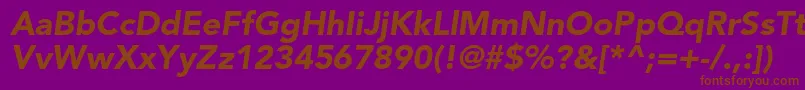 AvenirltstdBlackoblique Font – Brown Fonts on Purple Background