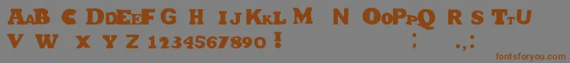 HetJaWoord Font – Brown Fonts on Gray Background