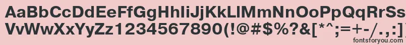 PragmaticawincttBold Font – Black Fonts on Pink Background