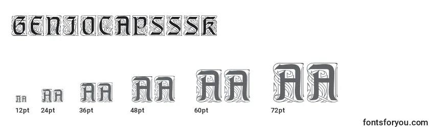 Размеры шрифта Geniocapsssk
