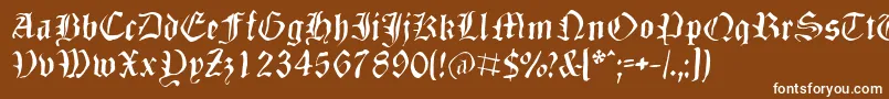 Dizzbw Font – White Fonts on Brown Background