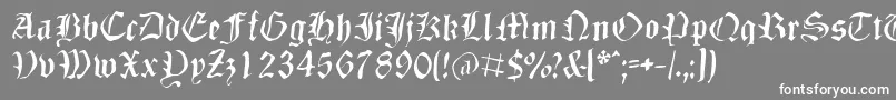 フォントDizzbw – 灰色の背景に白い文字