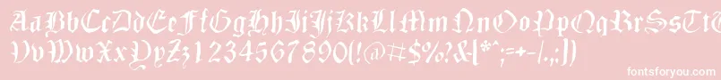 Dizzbw Font – White Fonts on Pink Background