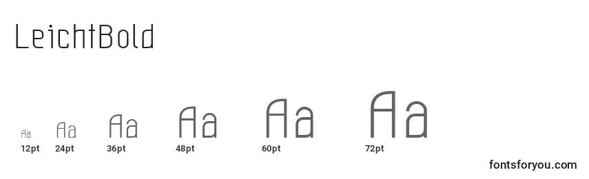 LeichtBold Font Sizes