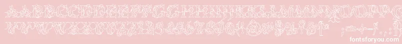 PcLights Font – White Fonts on Pink Background