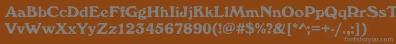 Windsorantdbol Font – Gray Fonts on Brown Background