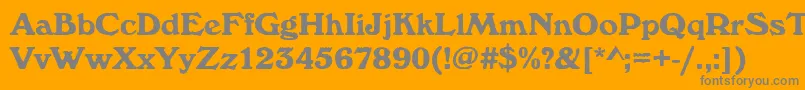 Windsorantdbol Font – Gray Fonts on Orange Background